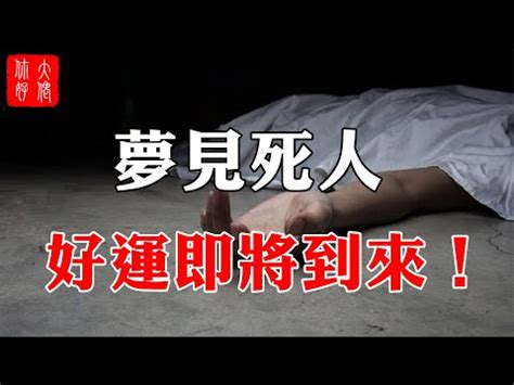 夢見鴿子死掉|夢見鴿子死了